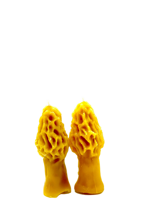 Morel Mushroom Candle